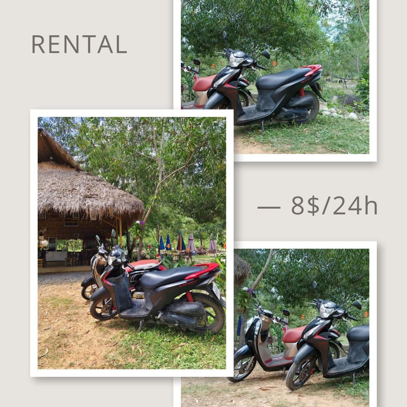 Kampot Camping - Eco Retreat Exterior foto