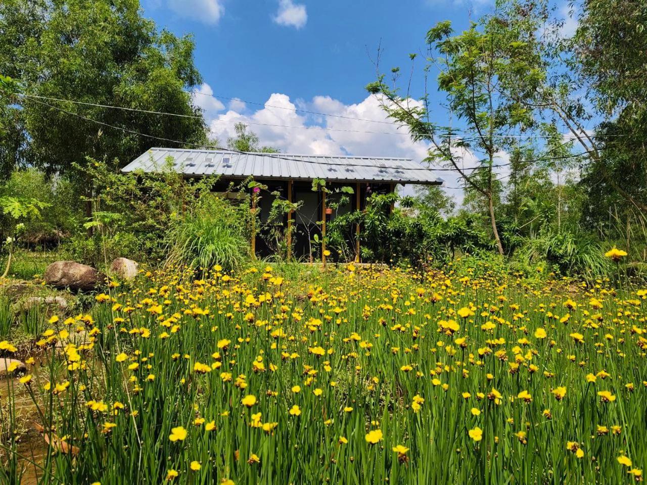 Kampot Camping - Eco Retreat Exterior foto